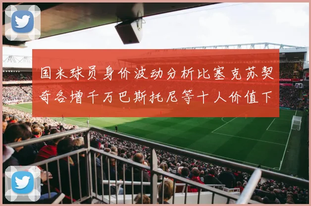 国米球员身价波动分析比塞克苏契奇各增千万巴斯托尼等十人价值下滑